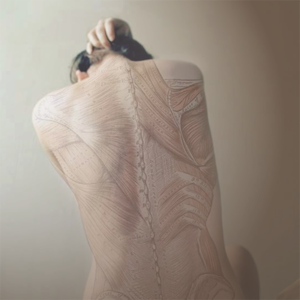 Introduction to Anatomy