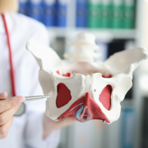 The Hidden Core: Pelvic Floor, Pressure & Performance