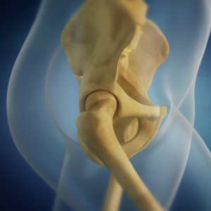 Pelvic Girdle Lecture Series