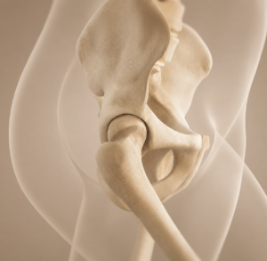 Pelvic Girdle Lecture Series