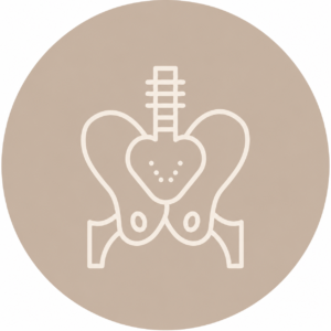 Understanding the Pelvic Floor